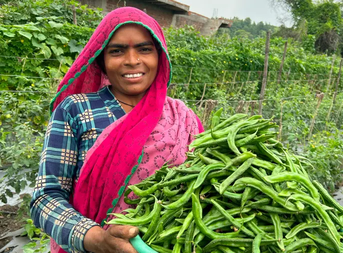 Livelihoods and Food Security