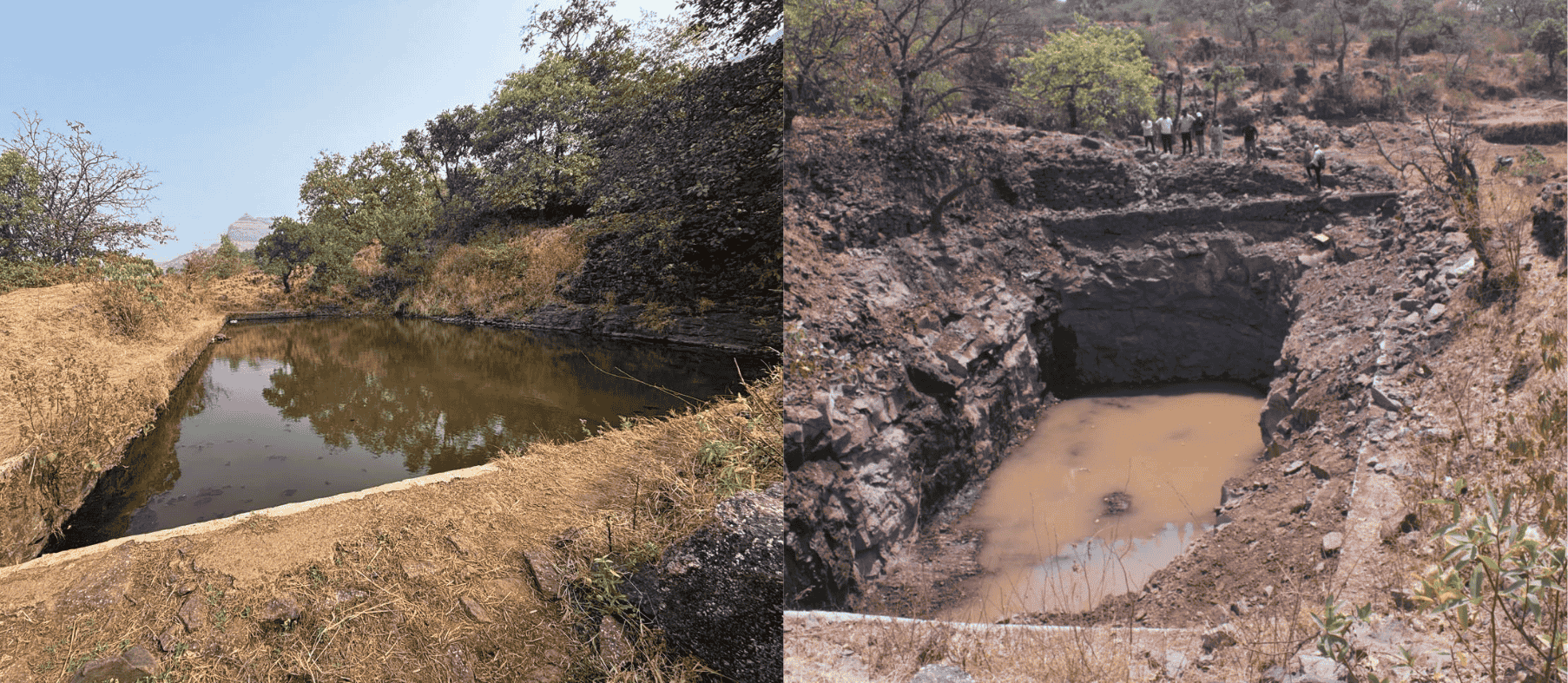 Pond Restoration Initiatives
