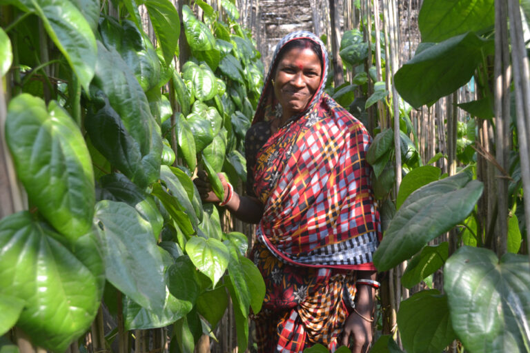 ChildFund & HSBC Help Sunderbans Farmers Rebuild After Amphan