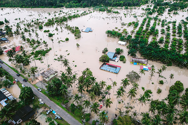 Assam flood relief